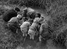 Змагання з мотокросу у 1956 році