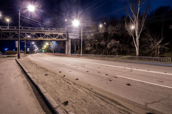 Водії намагаються оминати птахів