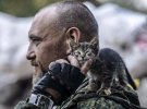 Коти, які надають моральну підтримку бійцям на передовій