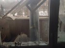 Ракета от РСЗО "Смерч" залетела в жилой дом на окраине Краматорска