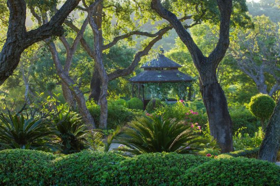 Первое место в категории "Европейская садовая фотография года". Пробковые дубы в саду элитного особняка в испанской Андалусии