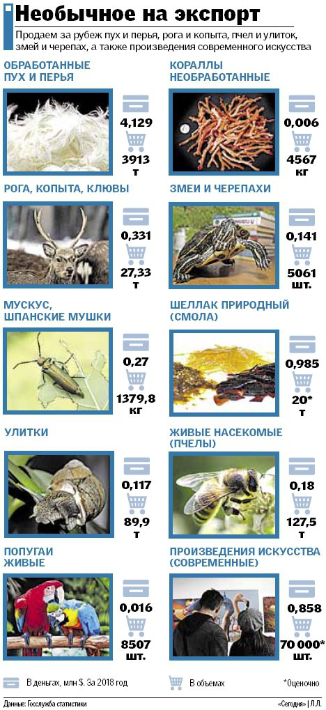 Что необычного экспортировали украинцы в прошлом году пух и перья, рога и копыта