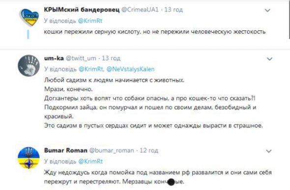 "Догхантеры убийства собак аргументируют опасностью, а котов за что?" - пишет один из пользователей.