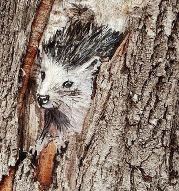 Одесская художница создает на деревьях невероятно реалистичные картины