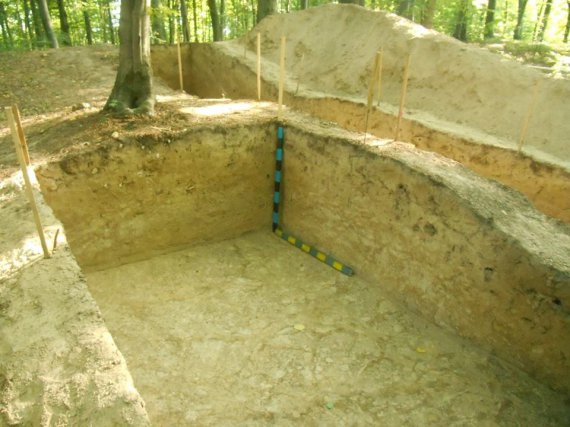 Раскопали древние курганы
