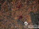 В одном из сел Борщевского района Тернопольской области мужчина около 20 раз ударил ножом 24-летнюю жену. Столько же ударов успел нанести себе