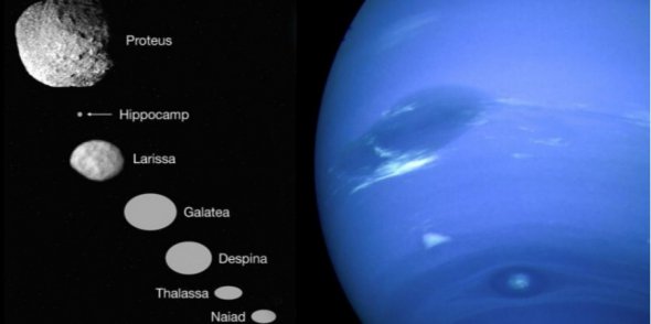 Сім внутрішніх місяців Нептуна разом з блакитною частиною планети справа