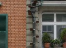 Швейцарці на будинках прилаштовують сходи для котів