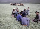 Подборка фото, которые сделали в Монголии в 1964-м