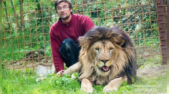 6-летний лев загрыз на смерть 33-летнего Михала Прасека