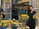 Владелец одной из крупнейших в Таиланде плантаций дуриана Арнон Родтхонг планирует передать бизнес своей дочери Карнсити. Но сначала, хочет ее женить