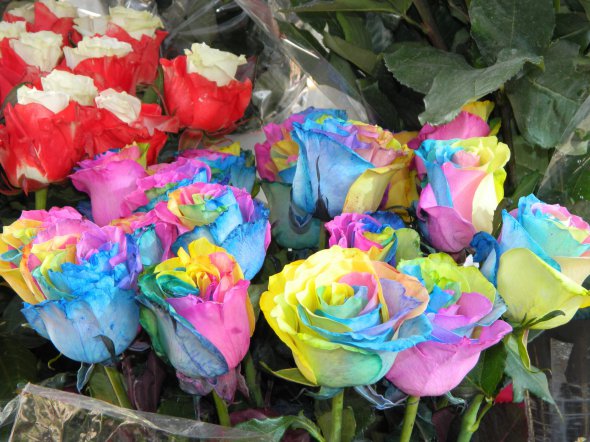 8 Марта: какие цветы покупают женщинам этого года