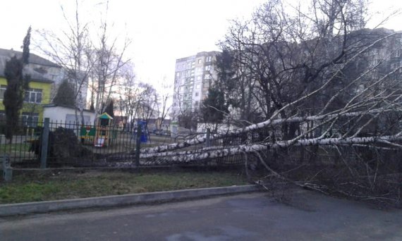 Новости Прикарпатья: непогода вырывает деревья с корнем и срывает крыши