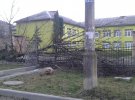Новости Прикарпатья: непогода вырывает деревья с корнем и срывает крыши