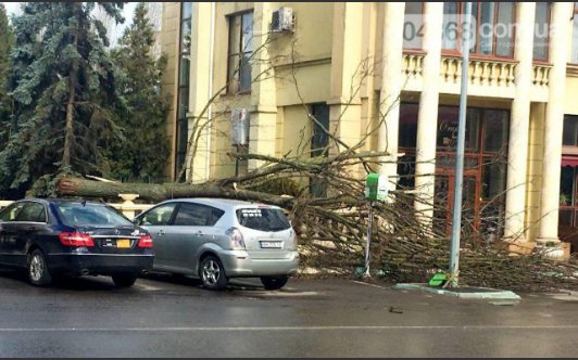 В Одесі сильний вітер повалив дерева та рекламні щити. Фото: 04868