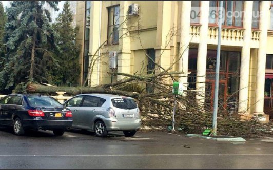 В Одессе сильный ветер повалил деревья и рекламные щиты. Фото: 04868