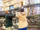 В Одессе сильный ветер повалил деревья и рекламные щиты. Фото: 04868