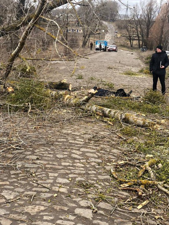 В Хмельнике дерево упало на женщину