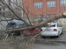 На вулиці Рибальській у Печерському районі величезне дерево впало одразу на три припарковані автівки. 