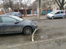 Ветка повредила еще одно авто, которое двигалось по дороге в это время.