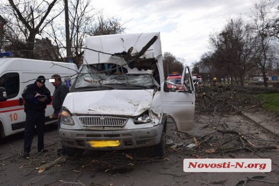 У Миколаєві дерево впало на маршрутку з людьми. Постраждали 2 дітей