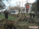 В Николаеве дерево упало на маршрутку с людьми. Пострадали 2 детей