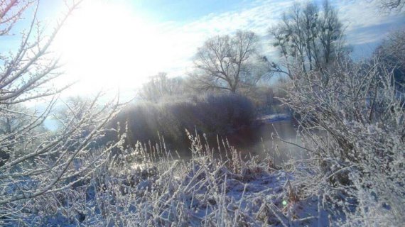 Тахтаулове запорошило снігом
