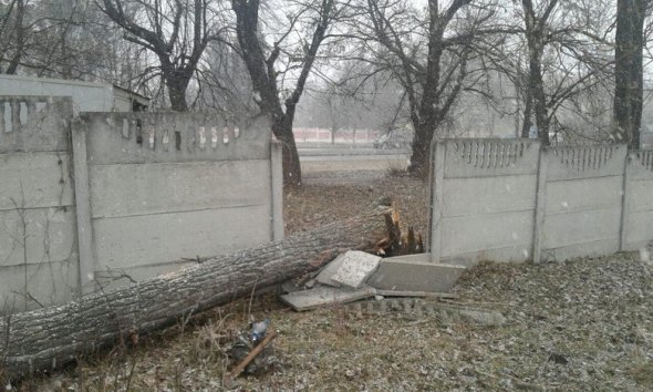 З вінницького Подільського зоопарку втекла самиця плямистого оленя