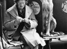 Фотографії Ширлі Бейкер з виставок собак 1960-70-х