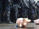 Представители Нацкорпуса кидали плюшевых и резиновых свиней
