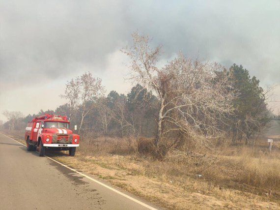 На території Вилковського лісництва в Одеській області спалахнула пожежа