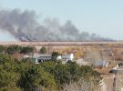 На территории Вилковского лесничества в Одесской области вспыхнул пожар