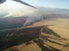 На территории Вилковского лесничества в Одесской области вспыхнул пожар
