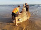 Гігантську сонячну рибу викинуло на узбережжя Південної Австралії. В довжину має понад 2,5 м