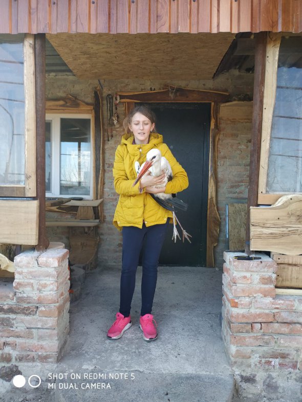 Софія Михайло тримає лелеку Буслика