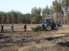 У Чалівському лісництві саджають сосни механізованим способом