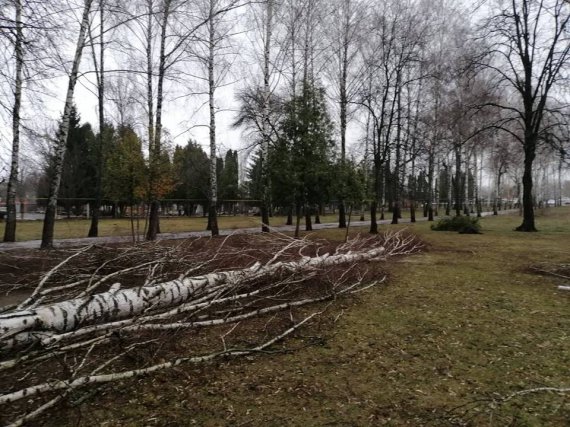 Україною пронеслась негода