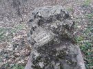 На узбіччі дороги під Полтавою можна знайти занедбані могили