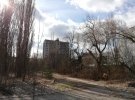 На деревах Чорнобиля почали пробиватися бруньки, а місцями на землі вже проростає свіжа трава.