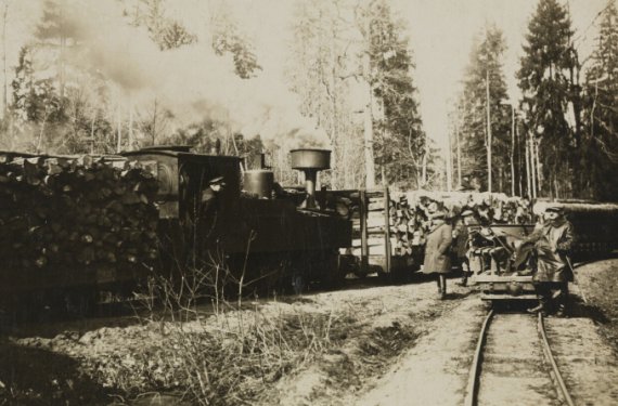 В 1920-х годах сделали фото Беловежской пущи