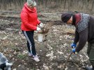 У Тростянці Полтавського району висадили дуби у місцевому лісі