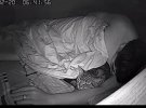 На фото показали, что делают коты ночью