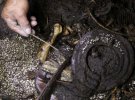 В Мехико нашли доказательства жертвоприношения ацтеков