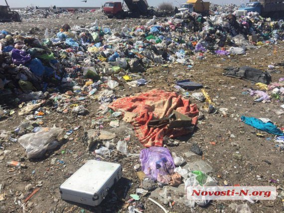 В Николаеве на полигоне твердых бытовых отходов обнаружили в мусоре расчлененный труп женщины