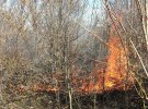 На Полтавщині ліквідовують пожежі на відкритих територіях