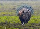 Животные способны поднять настроение в самый хмурый день. Одного взгляда на фото с ними достаточно, чтобы расплыться в улыбке.