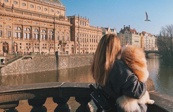 Чехия: украинка рассказала особенности отношения к собакам за рубежом