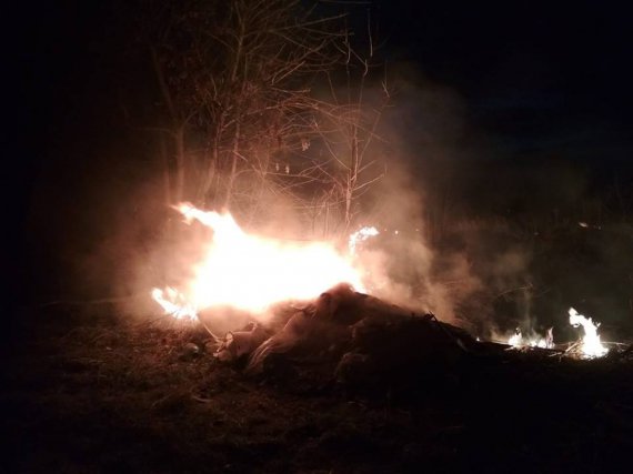 В Гожулах разом зі сміттям підпалили траву