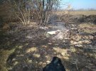 В Гожулах разом зі сміттям підпалили траву