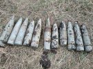 На территории кемпинга нашли боеприпасы